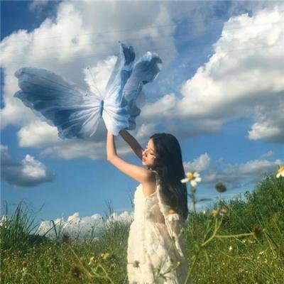 公鸡